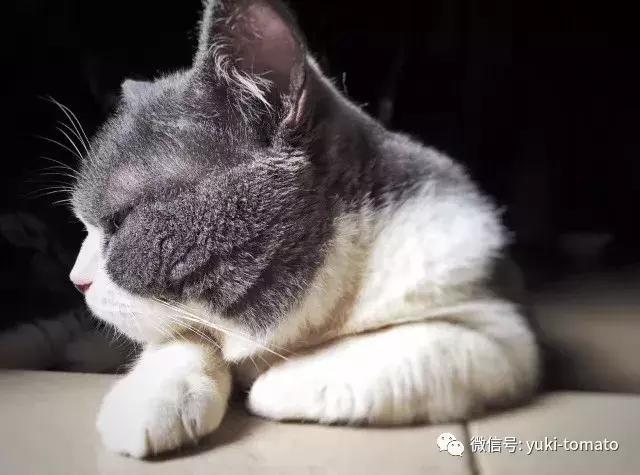 当我们探讨时我们在讨论什么,当我们谈论喝茶时我们在谈论什么