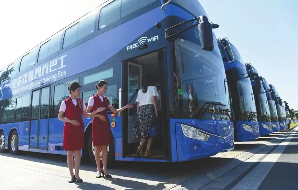 牛爆了原版视频,牛爆了