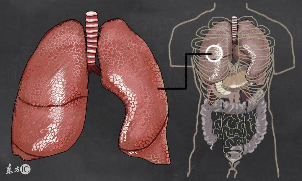 老人肺气肿要怎么去治疗,老年人肺气肿怎么保健
