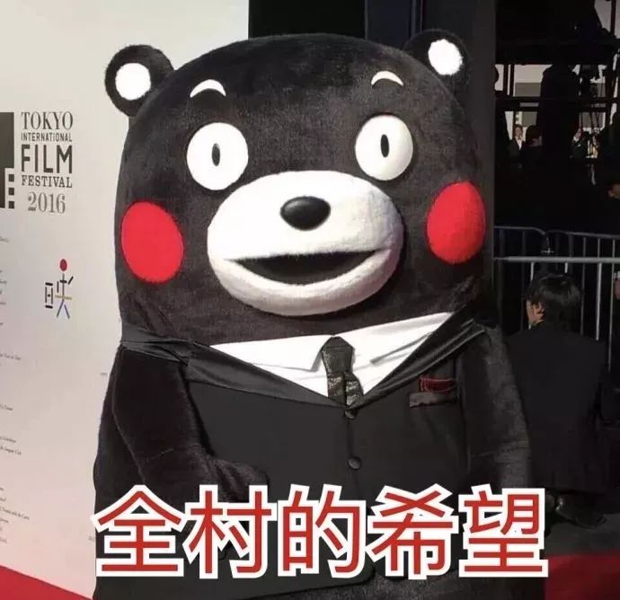 蛙儿子的旅行,蛙儿子旅行攻略