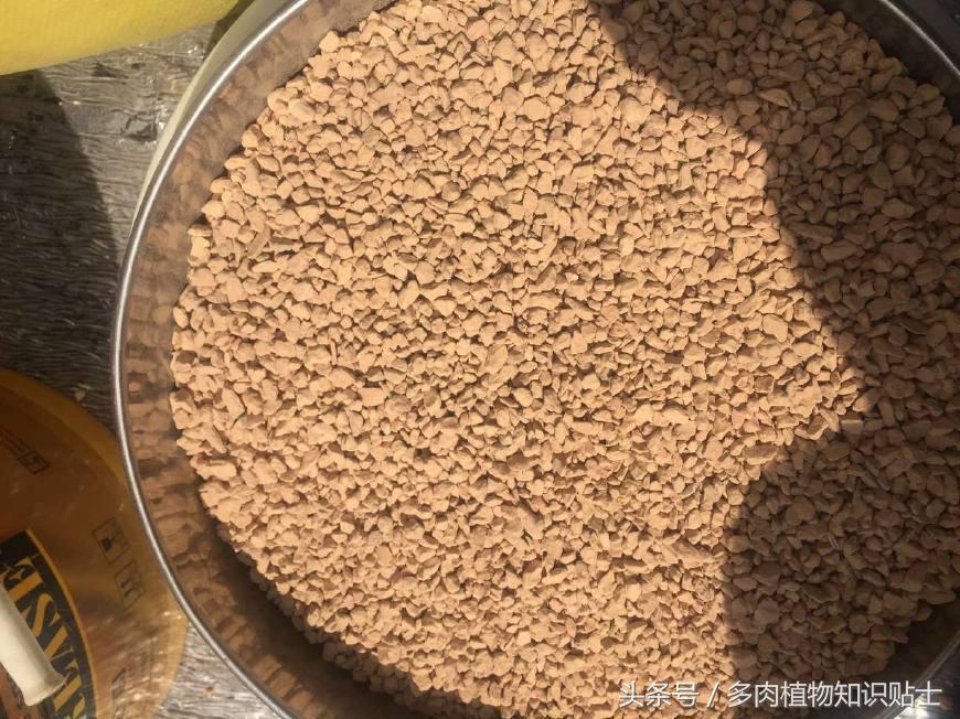 多肉植物用哪种土壤好,多肉植物什么土壤比较好