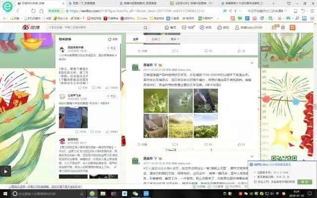 百雀羚认真你就赢了简要分析,百雀羚有什么趋势