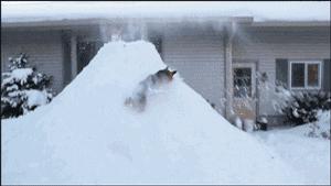 雪下得那么深那么认真下句怎么接,雪下得那么深那么认真全部歌词