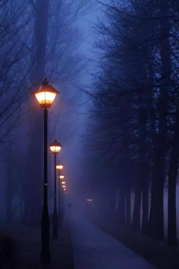 给生活加点“绿”,沟通还会有障碍吗?