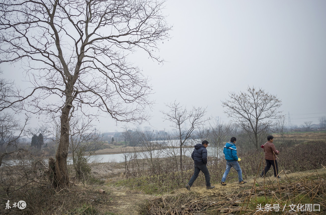 春节祭祖需要准备什么,祭祖文化春节祭祖正确步骤