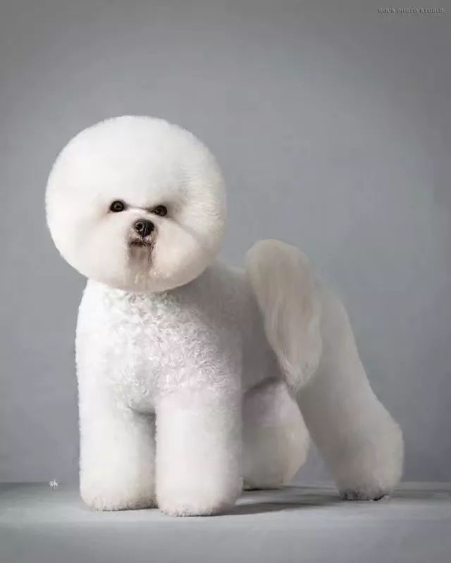 田丹最后一集画面,田丹最后什么结果