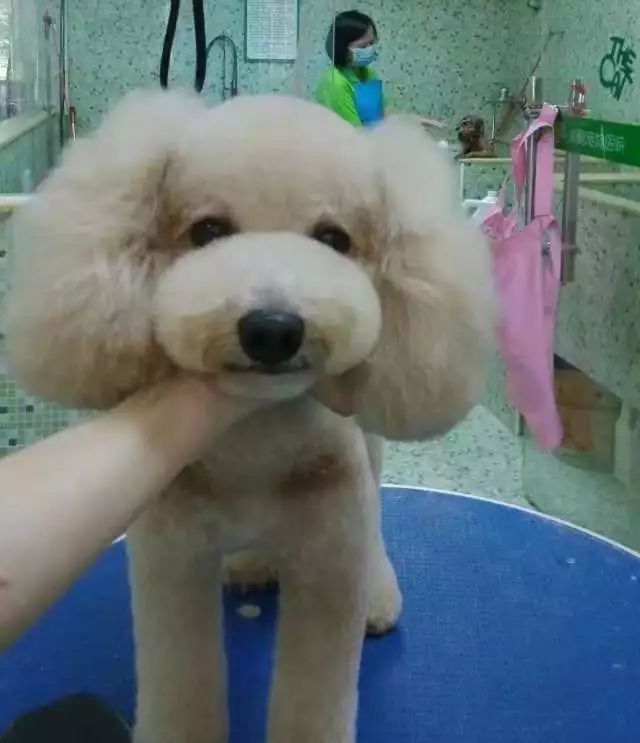 田丹最后一集画面,田丹最后什么结果