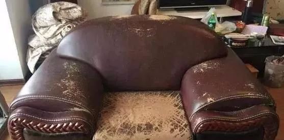 红木家具为什么是最便宜的家具,什么样的红木家具便宜又好