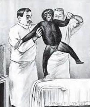 一半是科学,一半是冷血,历史上那些臭名昭著的科学实验