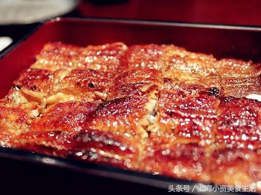 鳗鱼饭中的鳗鱼要灭绝了吗,好吃到停不下口的鳗鱼饭
