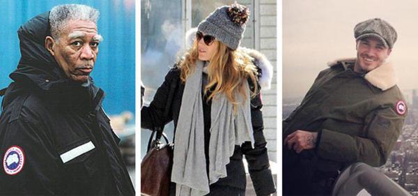 来自加拿大的“鹅”满街跑，还真不是中国人又崇洋媚外！