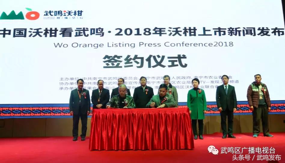 武鸣沃柑开园上市,武鸣沃柑2024发布现场