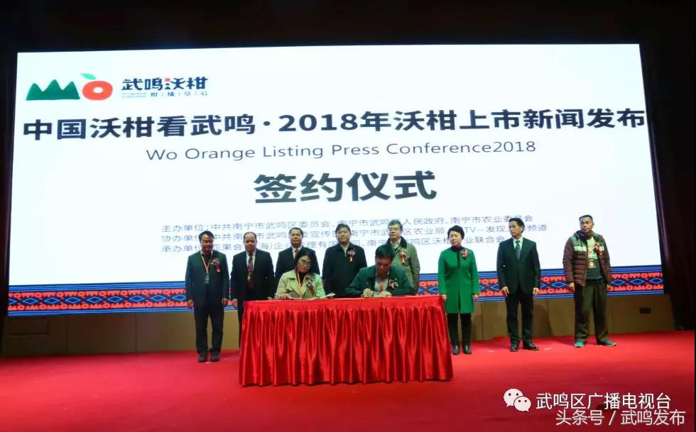 武鸣沃柑开园上市,武鸣沃柑2024发布现场