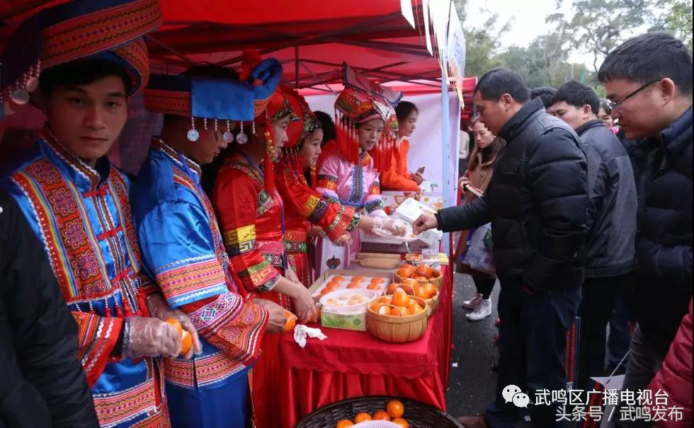 武鸣沃柑开园上市,武鸣沃柑2024发布现场