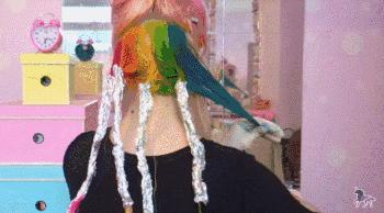 植物染发剂染发对身体有危害吗,染发一个月后能用植物染发剂吗