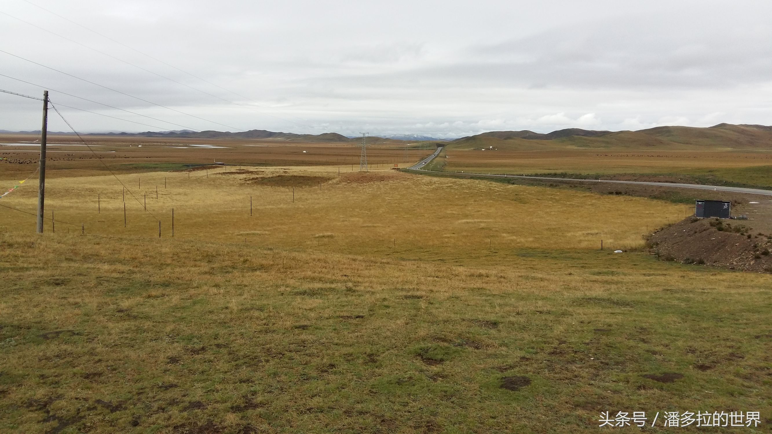 若尔盖大草原到底好不好玩,若尔盖大草原有没有沙漠