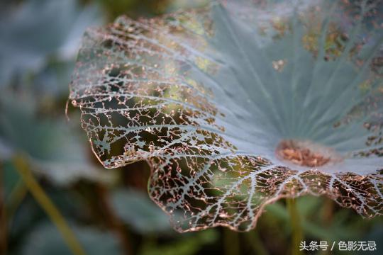 索尼a7c2配老镜头,老镜头转接