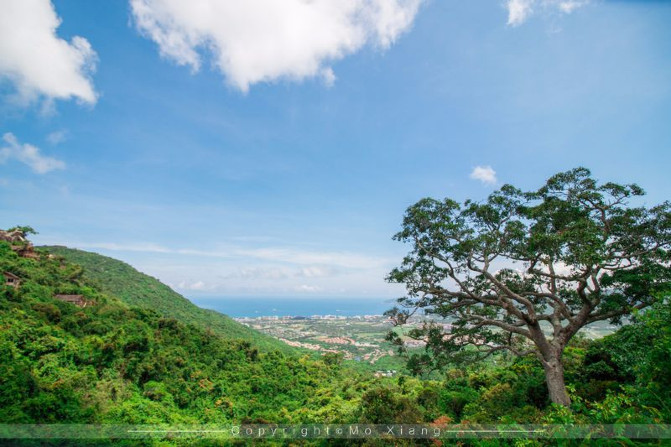浪漫三亚视频,碧海蓝天椰风海韵浪漫三亚