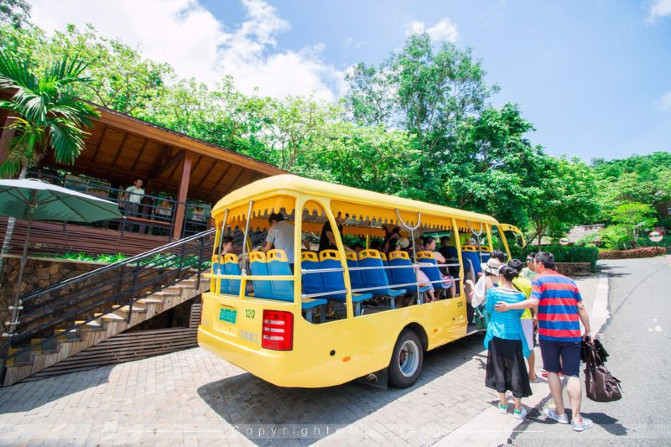 浪漫三亚视频,碧海蓝天椰风海韵浪漫三亚