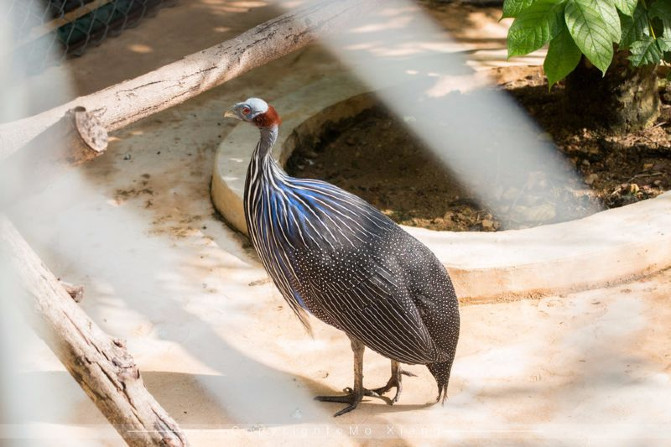 浪漫三亚视频,碧海蓝天椰风海韵浪漫三亚