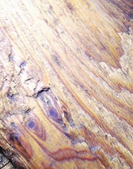 顶级家装木材排名前十强,名贵的家装木材品牌推荐