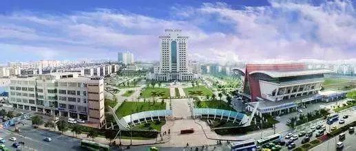 牛爆了原版视频,牛爆了