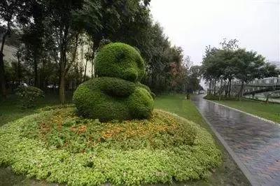 牛爆了原版视频,牛爆了