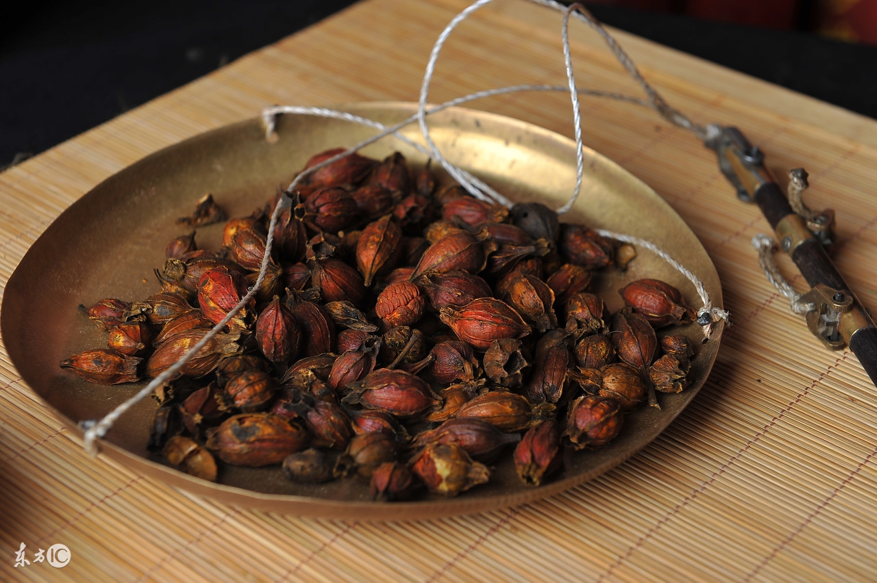 失眠中药栀子,失眠折磨人精神崩溃