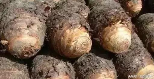 临沂景色有多美,临沂的独特风光