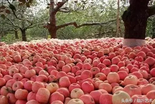 临沂景色有多美,临沂的独特风光