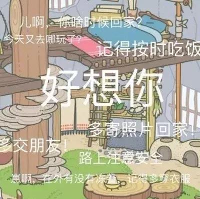 粉色青蛙的正确养法,养青蛙的技巧和方法