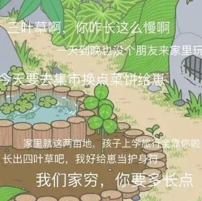 粉色青蛙的正确养法,养青蛙的技巧和方法