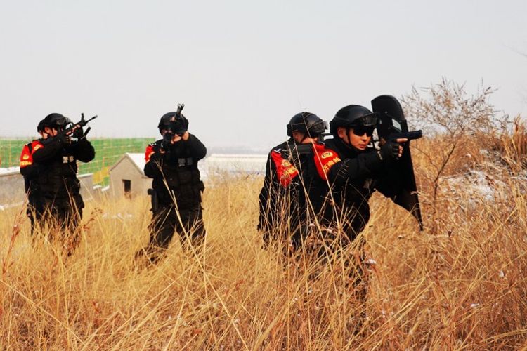 黑豹雪豹特战队,成都黑豹突击队魔鬼大练兵