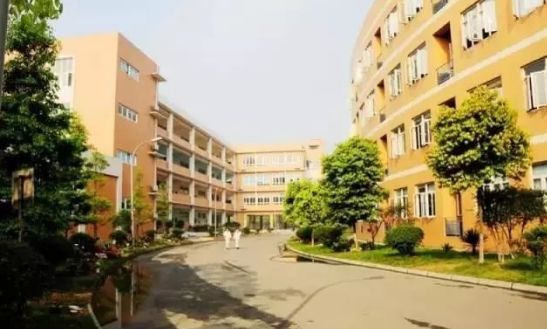 成都武侯区私立小学排名前十名,成都读公立小学还是私立小学好