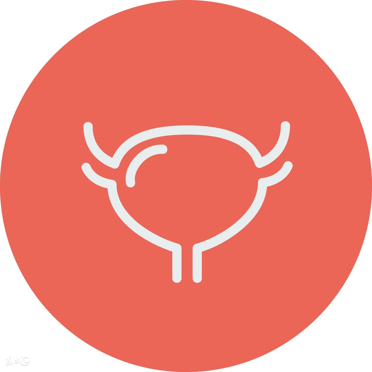 怀孕期间妈妈的子宫容易出现哪些问题?