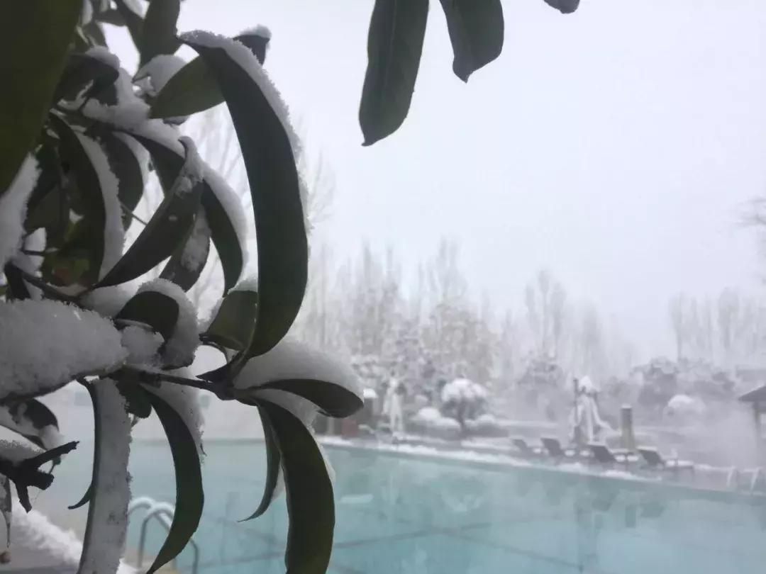 秦岭山下温泉,秦岭山里的野温泉