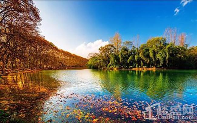 花溪碧桂园小户型,花溪碧桂园首府配套