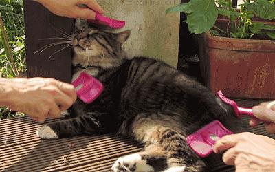 南京这6家温泉值得一去,南京最好的汗蒸房