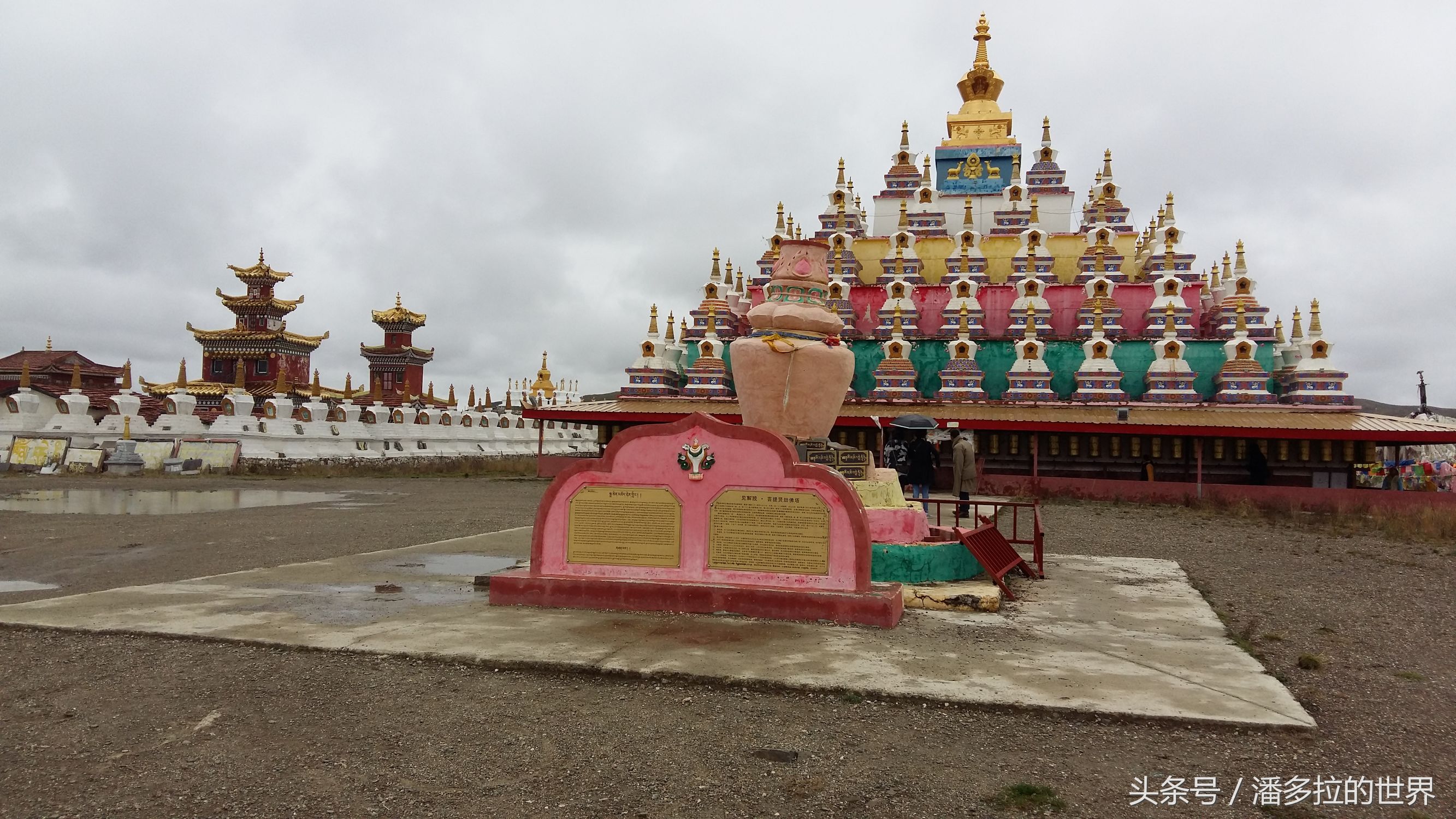 若尔盖大草原到底好不好玩,若尔盖大草原有没有沙漠