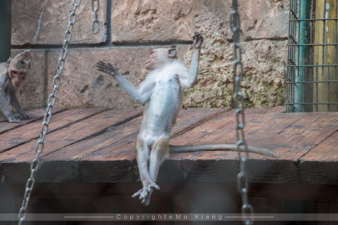 浪漫三亚视频,碧海蓝天椰风海韵浪漫三亚