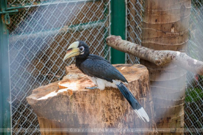 浪漫三亚视频,碧海蓝天椰风海韵浪漫三亚