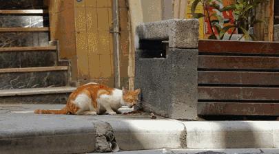 当我们探讨时我们在讨论什么,当我们谈论喝茶时我们在谈论什么