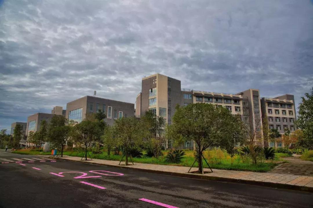 牛爆了原版视频,牛爆了