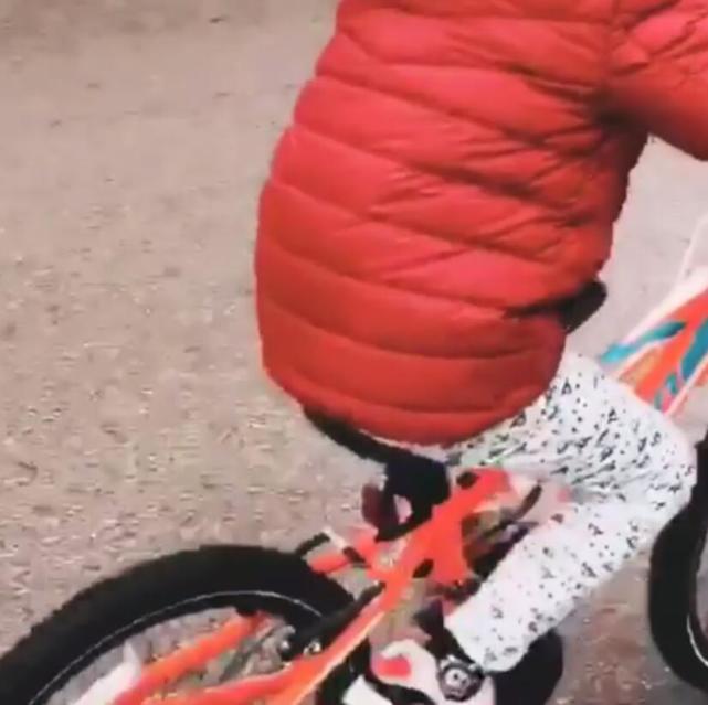 张柏芝带儿子玩滑板车,张柏芝玩滑板车上节目