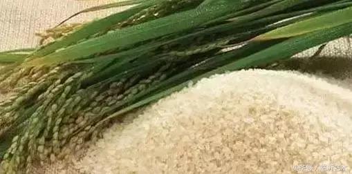 临沂景色有多美,临沂的独特风光