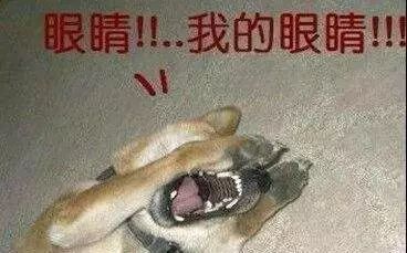 小团队拍视频设备,小团队拍什么视频