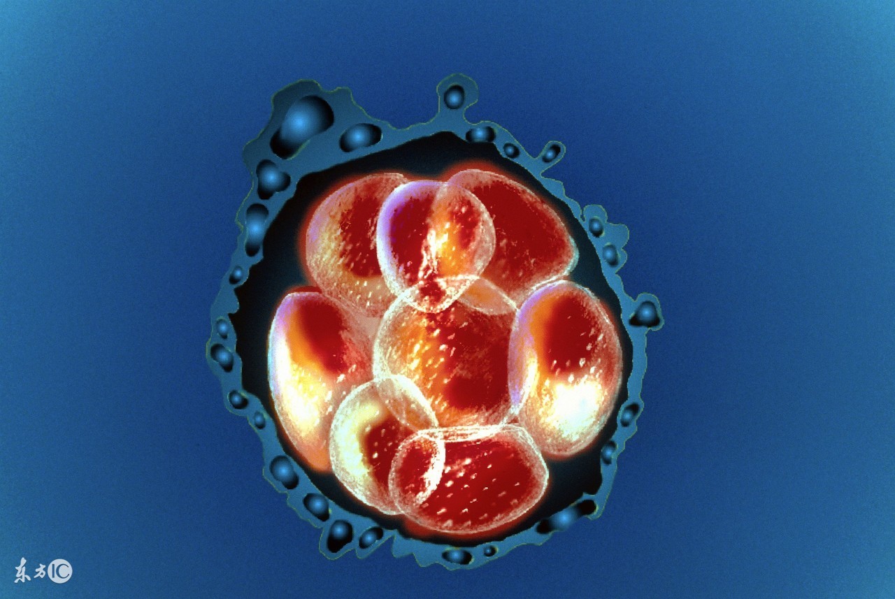 试管婴儿反复失败的原因你知道吗,试管婴儿老是失败什么原因