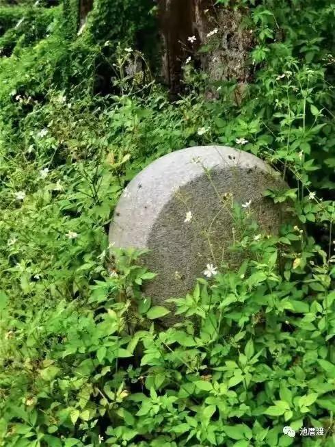 池厝渡,池厝渡抬龙头