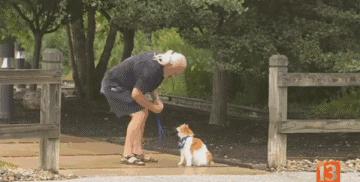 现在的猫都学成精了,这年头连猫都成精了