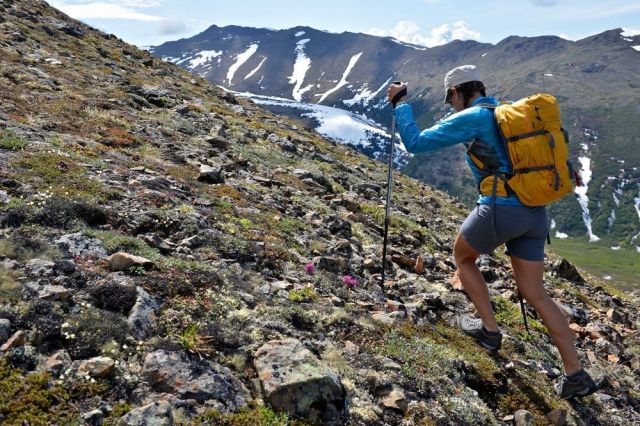 哪种类型的登山杖比较好用,登山杖登山前后对比